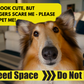 DNA - Signs Pro Lead - "I Need Space - Do Not Pet"