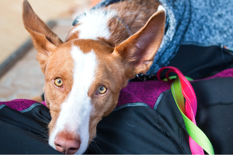 Rukka - Subrima Knit Overall *BLACK FRIDAY*