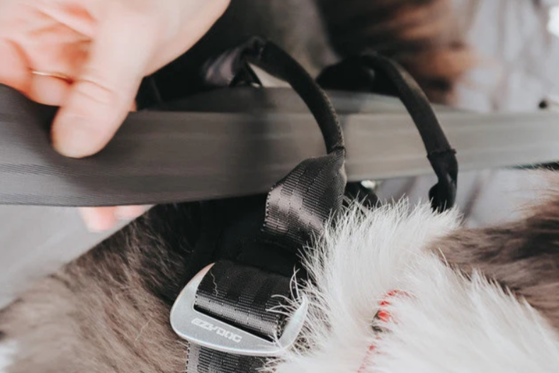 EzyDog - Drive Dog Car Harness