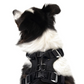 EzyDog - Drive Dog Car Harness