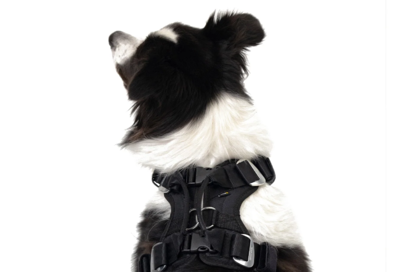 EzyDog - Drive Dog Car Harness