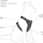 EzyDog - Drive Dog Car Harness