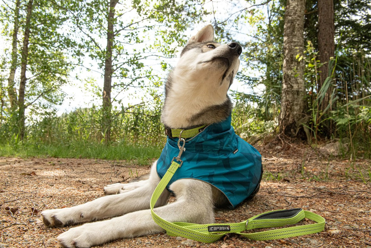 Icepeak - Sprint Raincoat *BLACK FRIDAY*