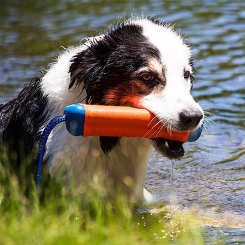 Fetch Toys