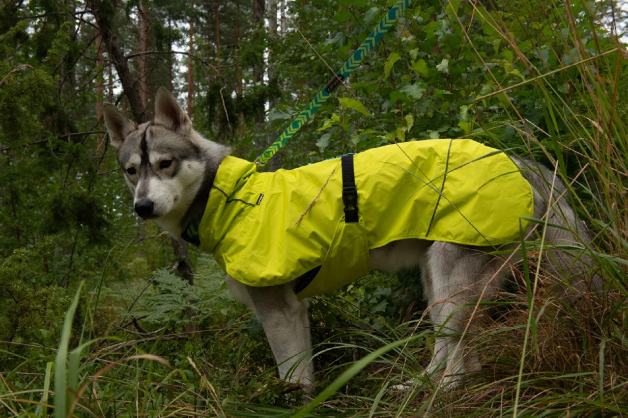 Icepeak - Strike Raincoat *BLACK FRIDAY*