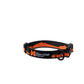 Non-stop - Trail Quest Collar
