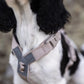 Non-Stop - Trekking line harness CLIP'N™