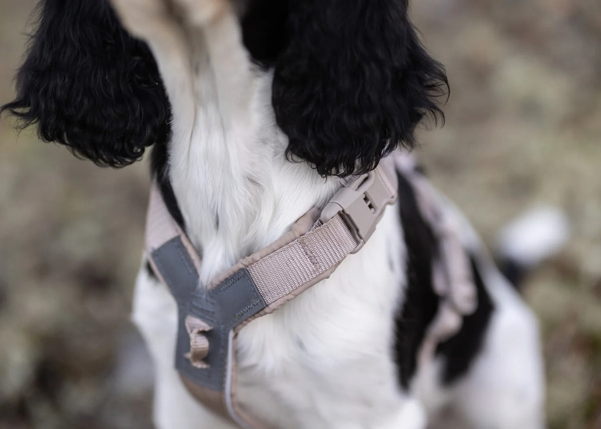 Non-Stop - Trekking line harness CLIP'N™
