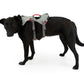 Ruffwear - Doubleback Harness