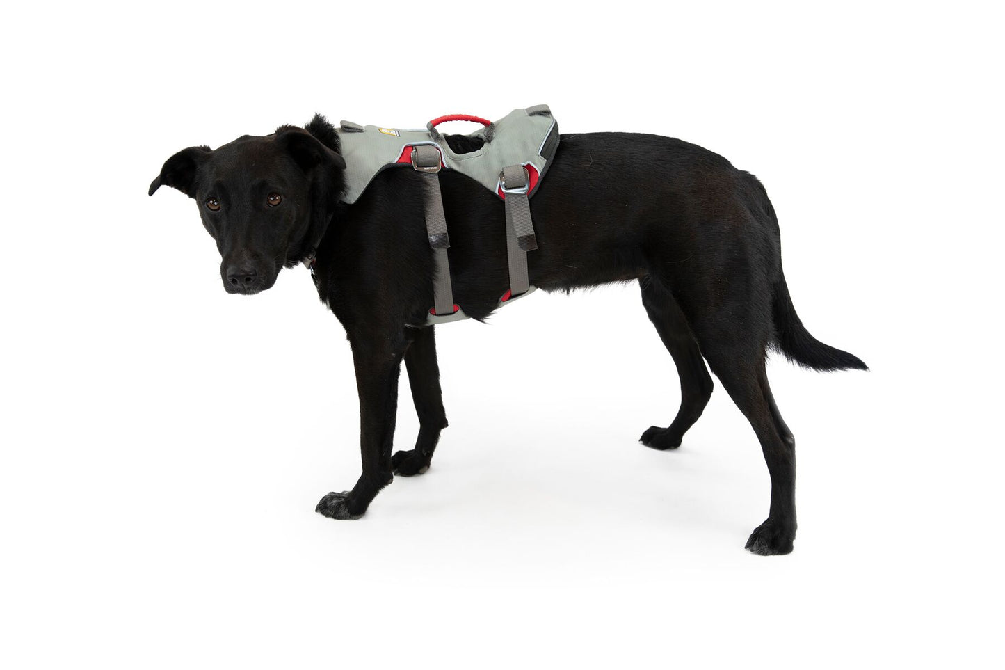 Ruffwear - Doubleback Harness