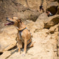 Ruffwear - Doubleback Harness
