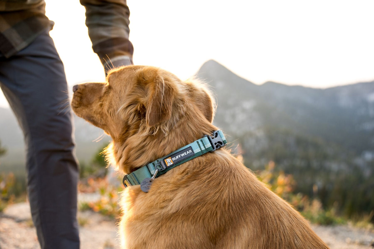 Ruffwear - Web Reaction Martingale Collar