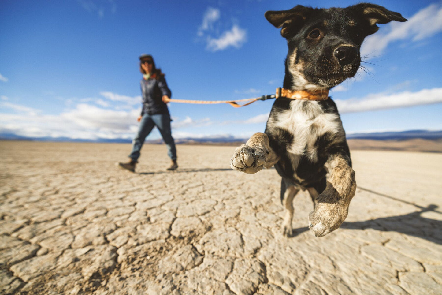Ruffwear - Crag Lead