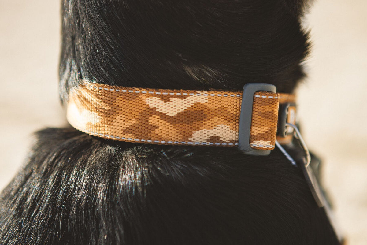 Ruffwear - Crag Collar