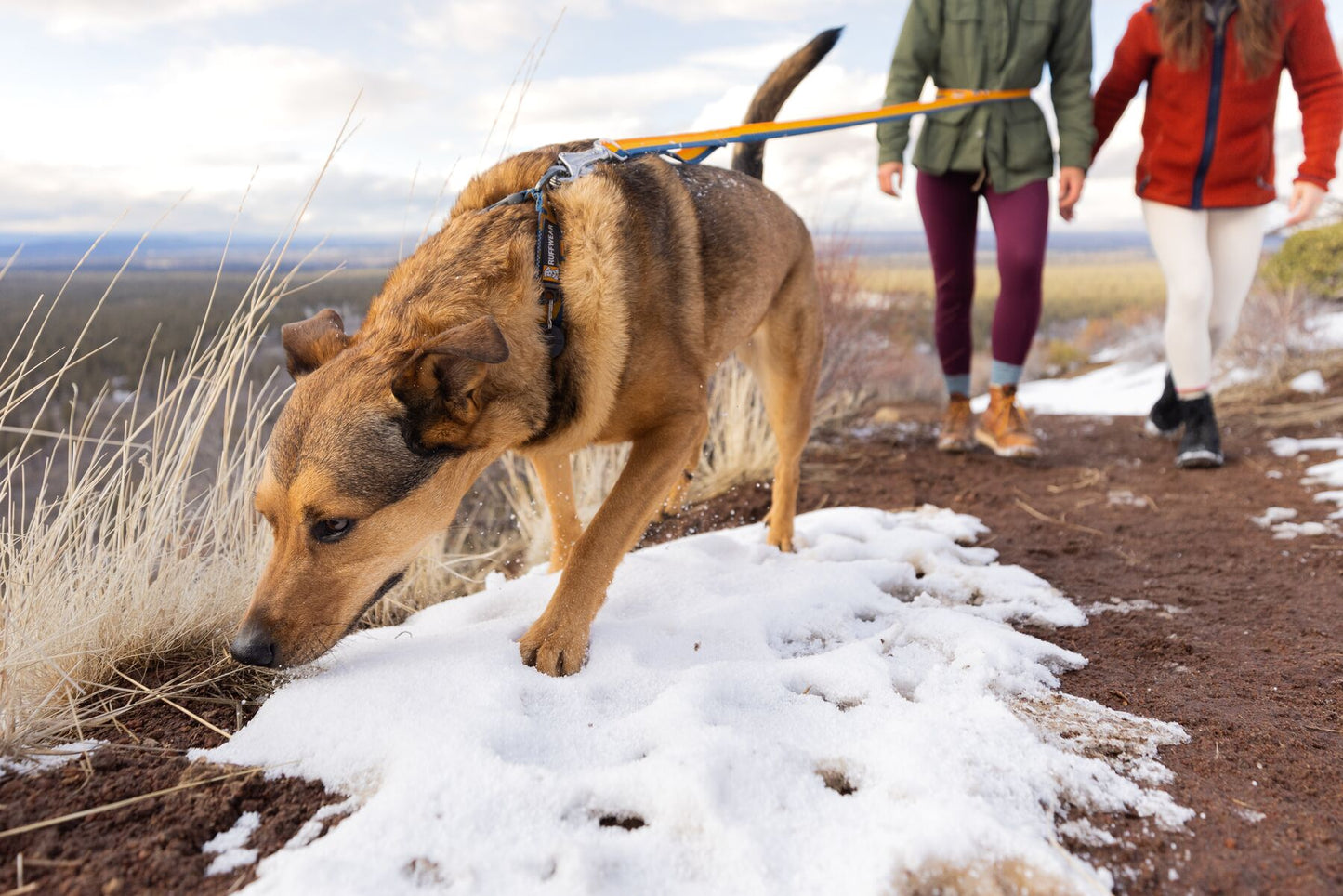 Ruffwear - Roamer Bungee Leash