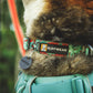Ruffwear - Crag Collar