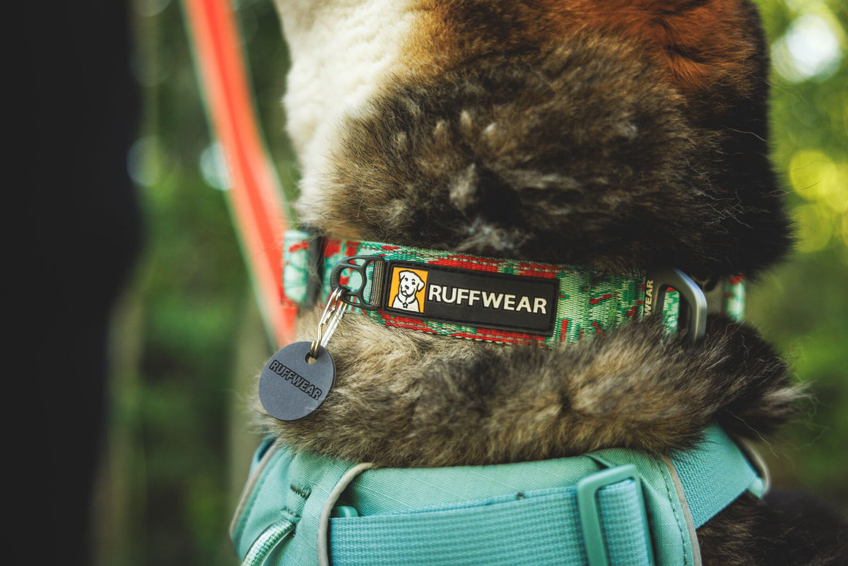 Ruffwear - Crag Collar