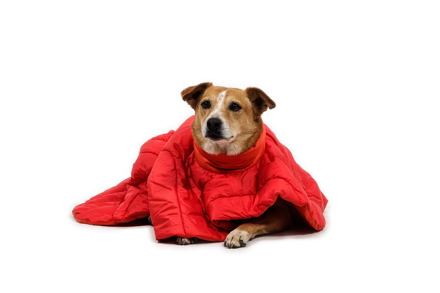 Ruffwear - Palisades Poncho