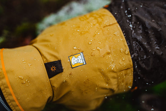 Weatherproof your Dog!