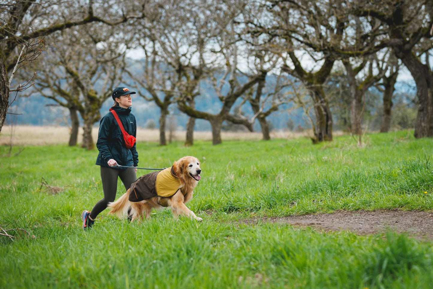 Ruffwear - Knot-A-Leash