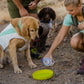 Ruffwear - Swamp Cooler Vest *2024 Version*