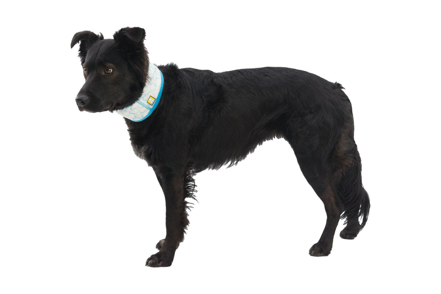 Ruffwear - Swamp Cooler Neck Gaiter