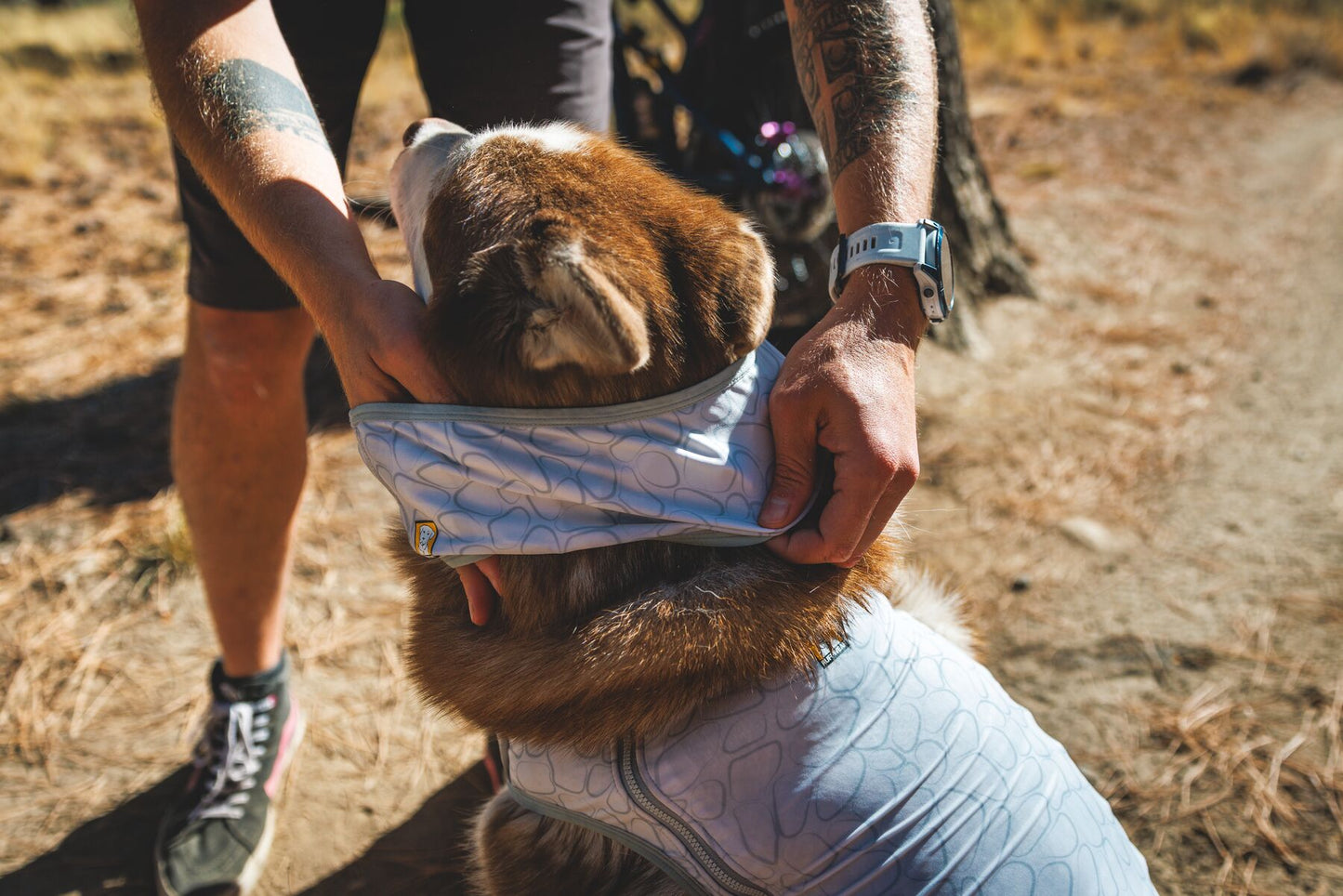 Ruffwear - Swamp Cooler Neck Gaiter