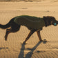 Ruffwear - Climate Changer Fleece Vest