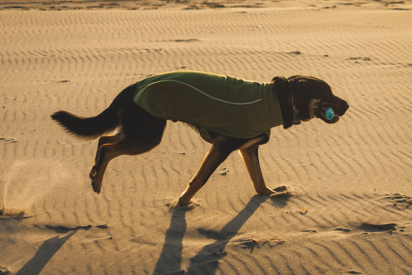 Ruffwear - Climate Changer Fleece Vest