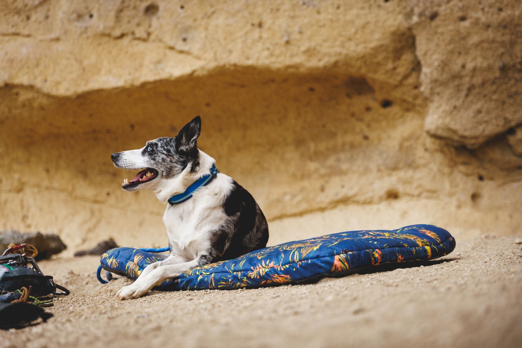 The Ruffwear Basecamp Bed in use, with a dog laying on it. The background is sandy and arid.