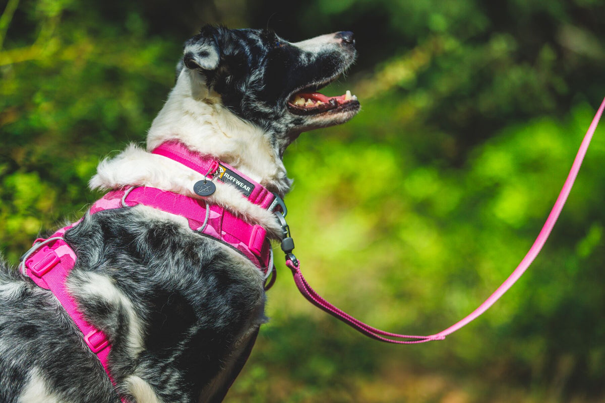 Ruffwear - Front Range Harness