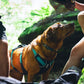 Ruffwear - Flagline Harness