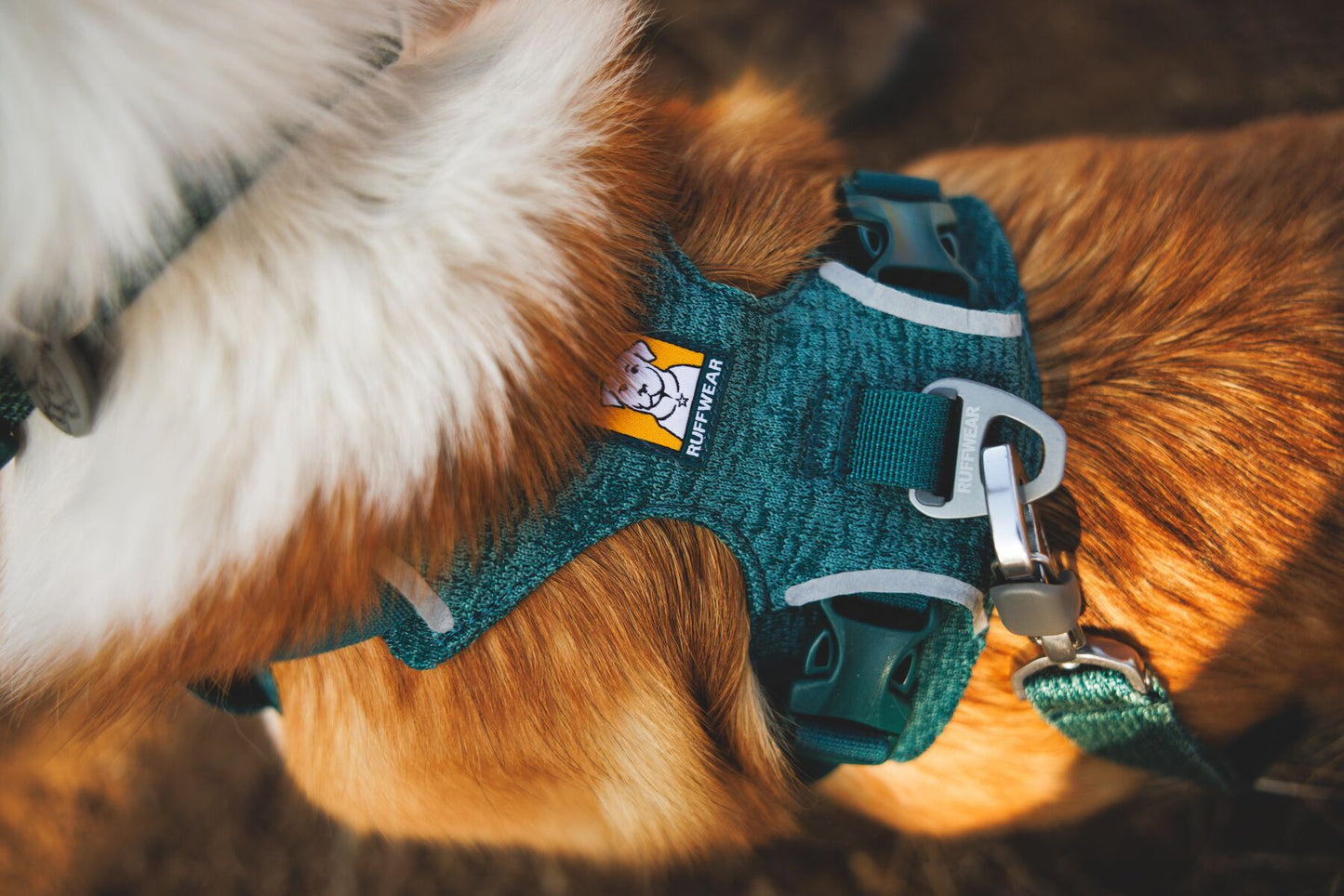 Ruffwear - Front Range Flex Leash