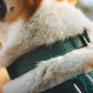 Ruffwear - Front Range Flex Collar