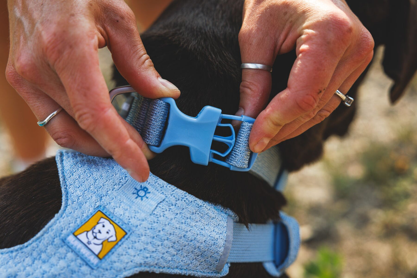 Ruffwear - Front Range Flex Collar