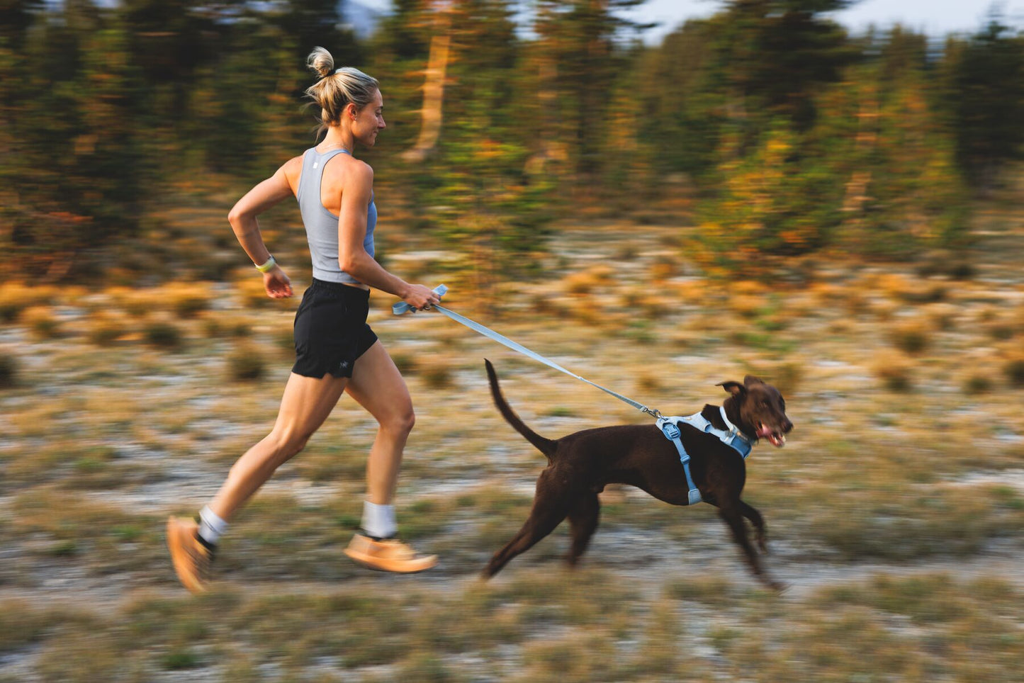Ruffwear - Front Range Flex Leash
