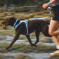 Ruffwear - Front Range Flex Leash