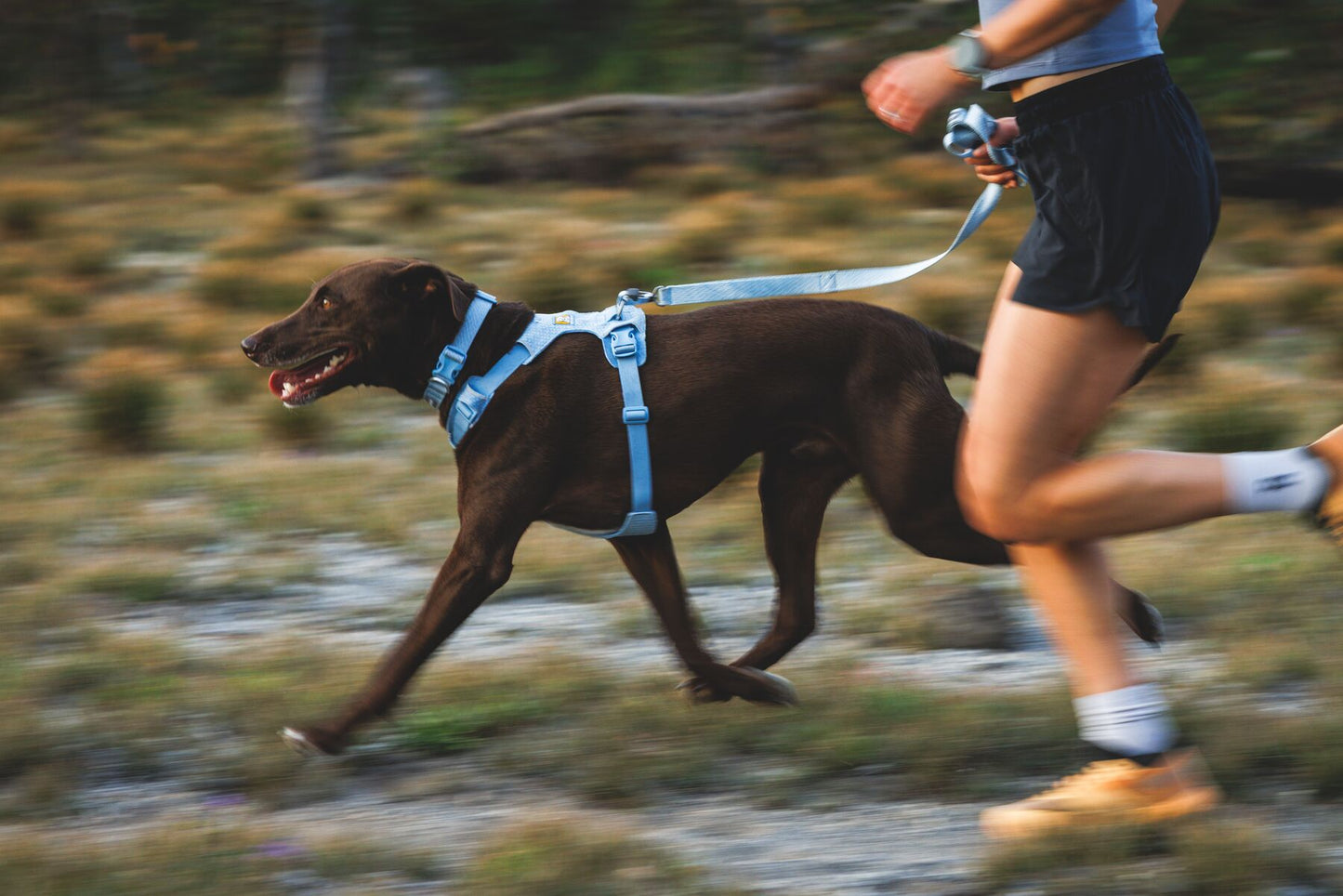 Ruffwear - Front Range Flex Leash
