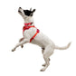 Ruffwear - Front Range Flex Harness