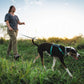 Ruffwear - Hi & Light Harness