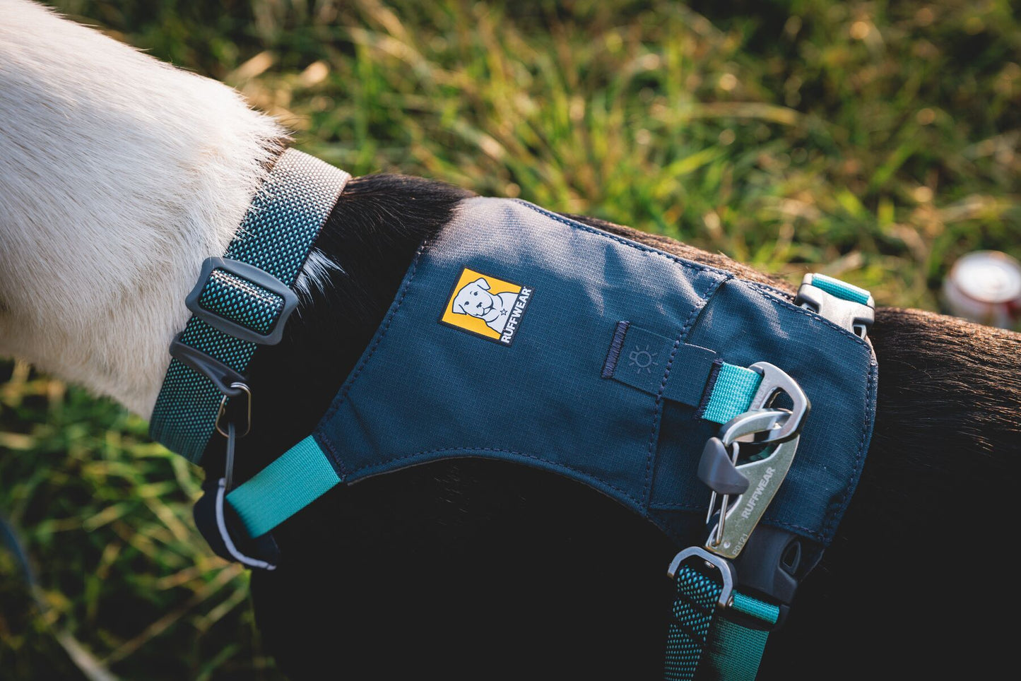 Ruffwear - Hi & Light Harness
