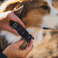 Ruffwear - Ridgeline Collar