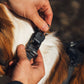 Ruffwear - Ridgeline Collar