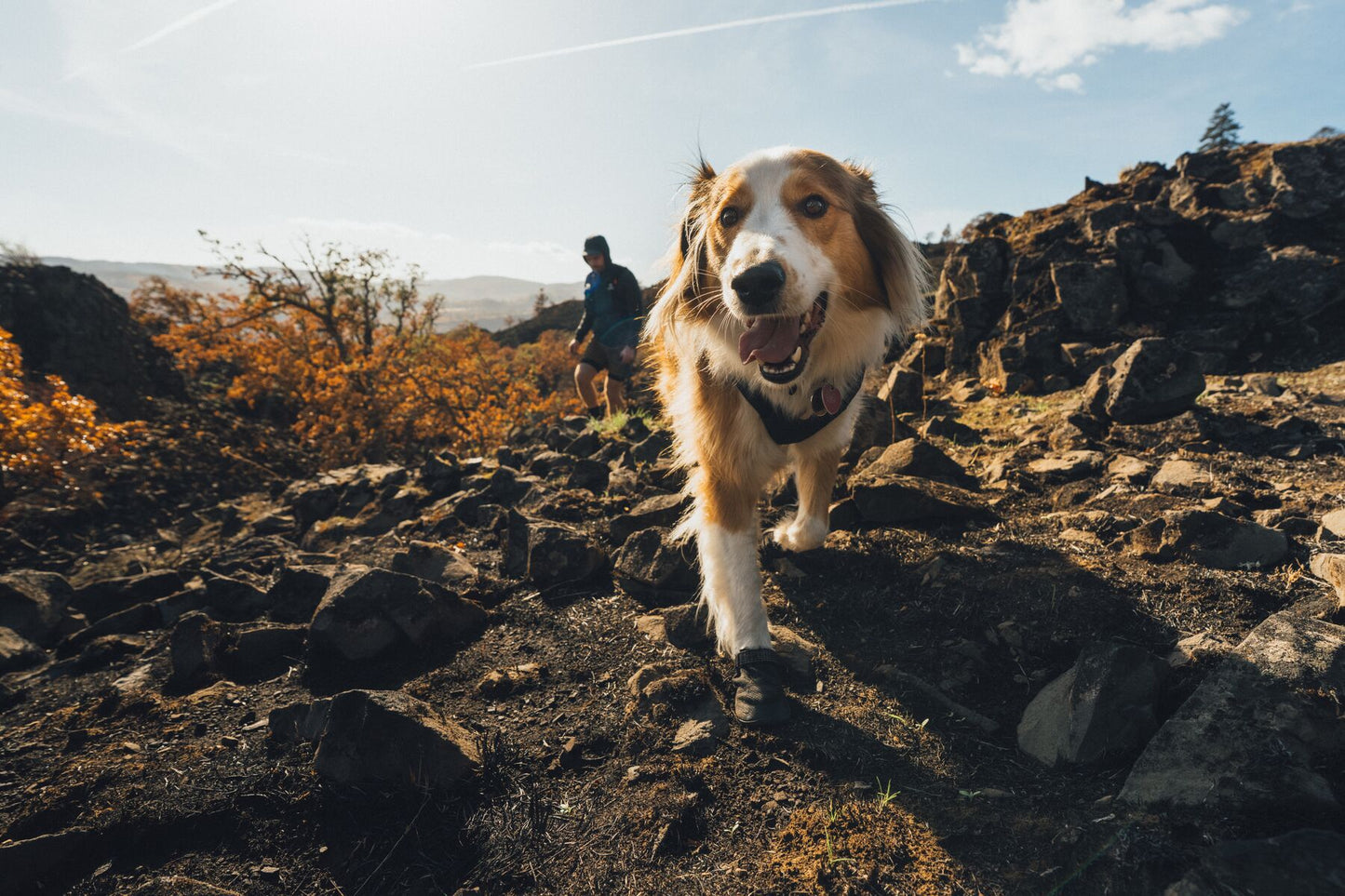 Ruffwear - Ridgeline Shoes
