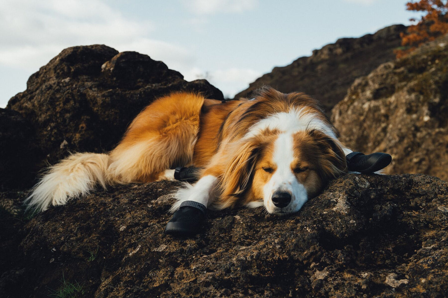 Ruffwear - Ridgeline Shoes