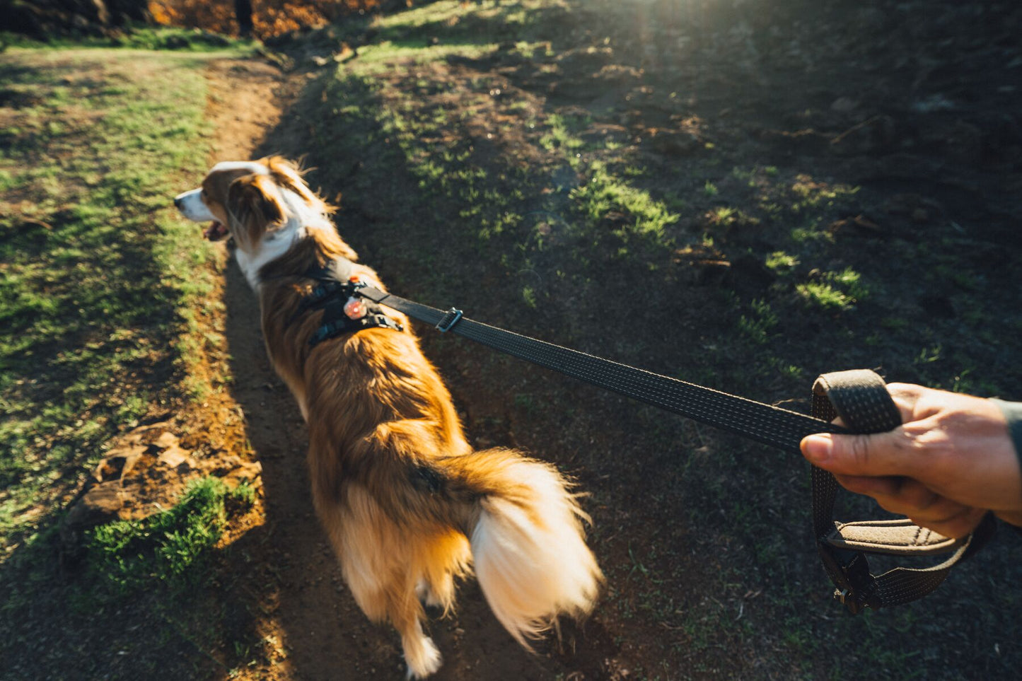 Ruffwear - Ridgeline Leash