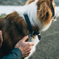 Ruffwear - Ridgeline Collar