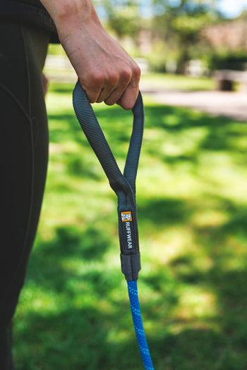 Leads