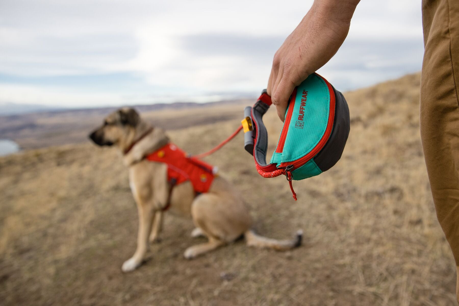 Hitch Hiker Leash Ruffwear Mountain Dog UK
