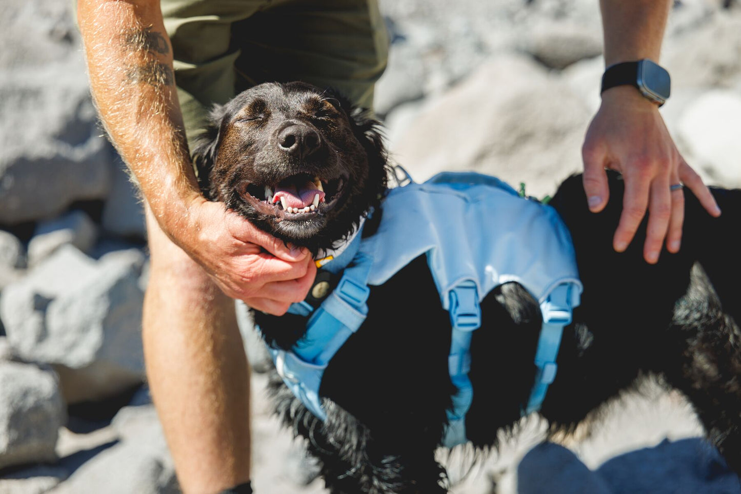 Ruffwear - Palisades Pack